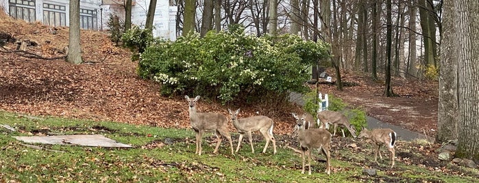 Tenafly Nature Center is one of Stuff To Do.