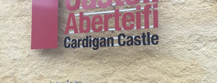 Cardigan Castle is one of Tempat yang Disukai Niina.