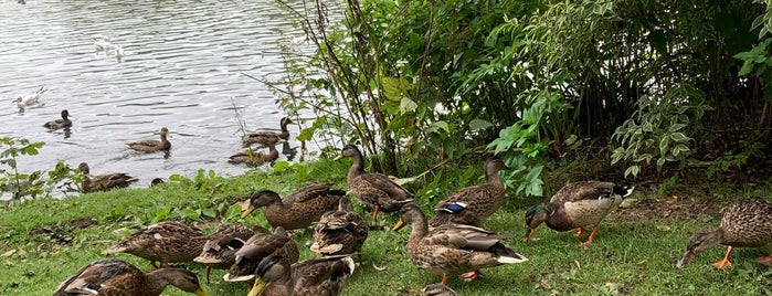 The Vale Lake is one of Elliottさんのお気に入りスポット.