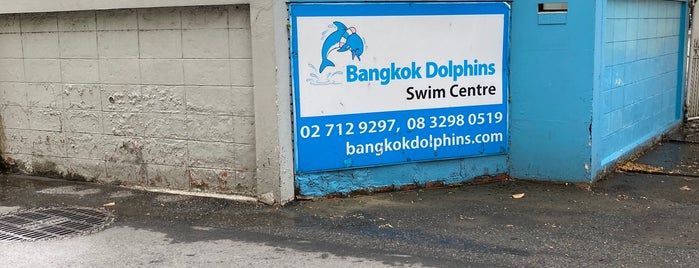 Bangkok Dolphins is one of All-time favorites in Thailand.