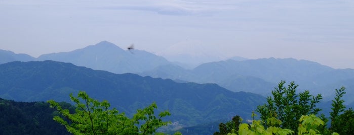 Top of Mt. Takao is one of 25 Things to do in Tokyo.