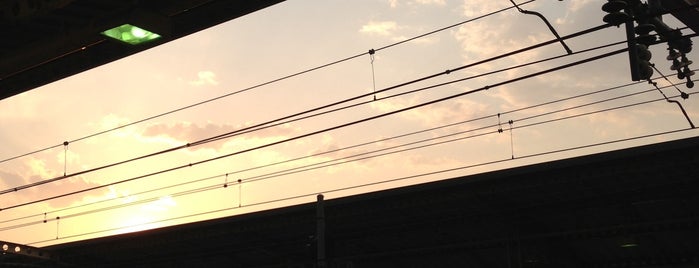 Gotokuji Station (OH10) is one of 秒速5センチメートルの聖地.