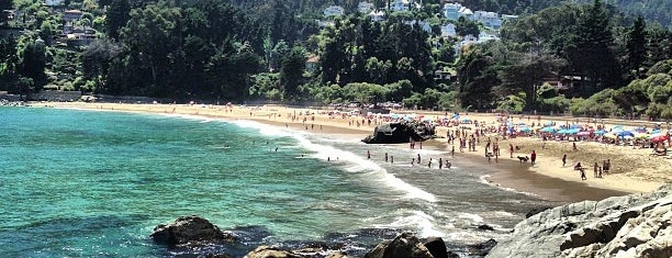 Playa Zapallar is one of Orte, die Cristina gefallen.
