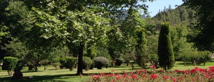 Çamlık Parkı is one of Tempat yang Disukai Sena.