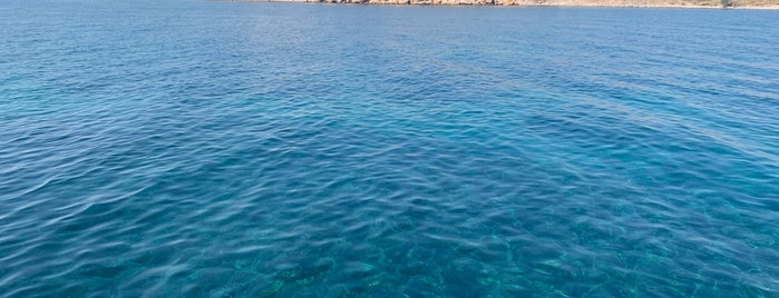 Çıplak Ada is one of Diving Points around Ayvalik.