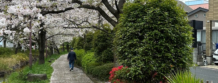 日枝神社 is one of 足立区葛飾区江戸川区の行きたい神社.