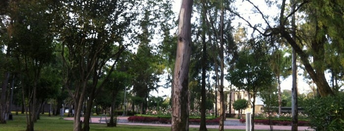 Parque Melchor Ocampo is one of Lugares favoritos de Lily.