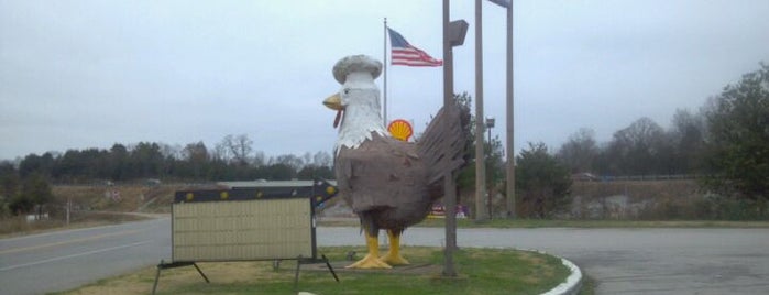 Shady Lawn Truck Stop "Home Of The Big Chicken" is one of Ross’s Liked Places.