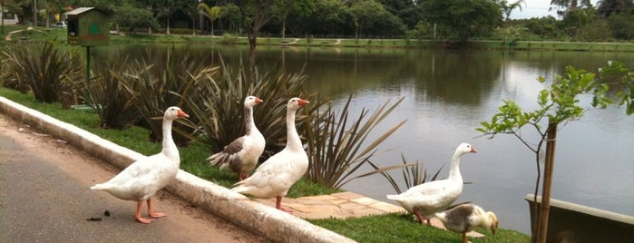 Lagoa do Retiro do Chalé is one of Lugares preferidos de Belo Horizonte.
