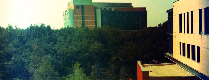 On Top of the Palms (MSC) is one of Marshall Student Center.