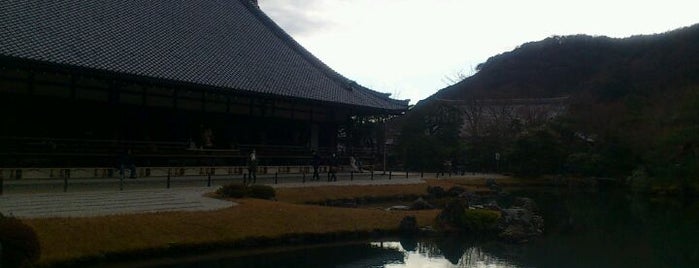 Tenryu-ji Temple is one of 京都の定番スポット　Famous sightseeing spots in Kyoto.
