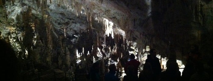 Postojna Cave is one of Don't miss in Slovenia.
