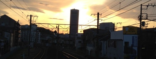 Kikuna Station is one of 武蔵小杉に来る列車の終着駅.