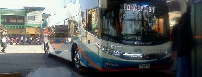 Eme Bus Santiago - Concepción is one of Servicios de Transporte Rodoviario de Chile.