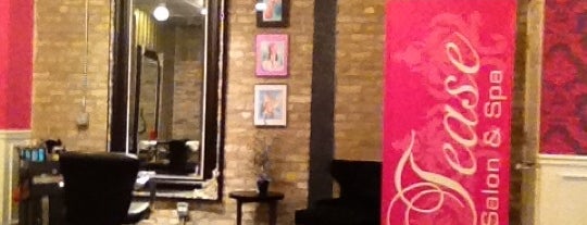 Tease Salon & Spa is one of Chicago II.
