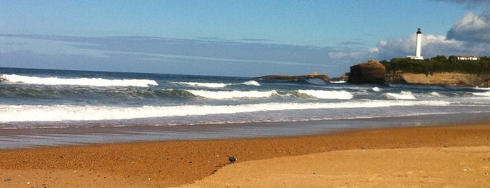 Grande Plage is one of Meine Stadt: Biarritz.