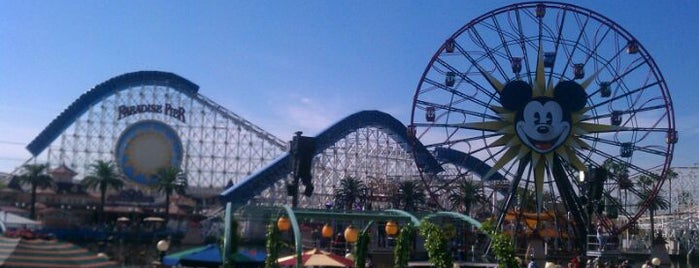California Screamin' is one of Disney California Adventure Park.