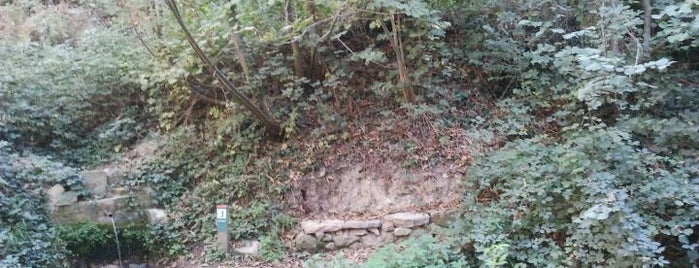 Font dels Abeuradors is one of Fonts de Sant Hilari.