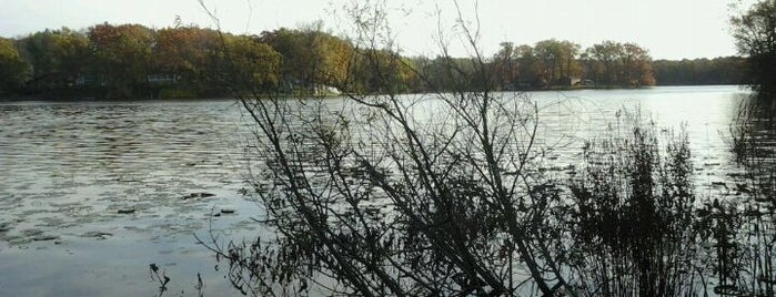 Waterloo Recreation Area is one of Michigan State Parks.