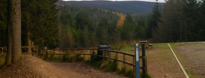 Glentress 7stanes is one of Guide to Peebles's best spots.