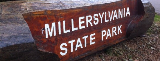 Millersylvania State Park is one of Favorite Local Parks in Olympia.
