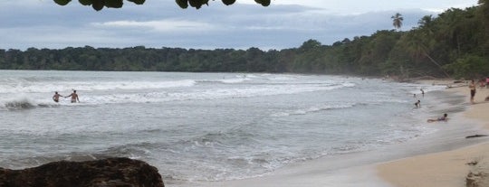 Parque Nacional Cahuita is one of Costa Rica.