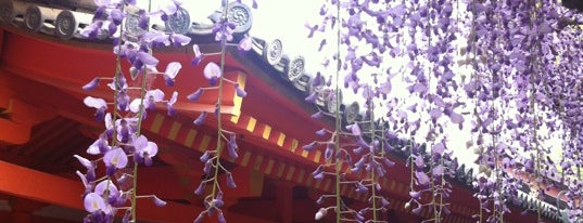 Kasuga-taisha Shrine is one of 神仏霊場 巡拝の道.