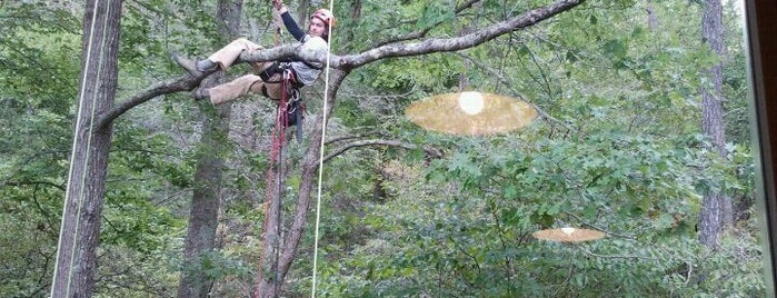 Navitat Canopy Adventures is one of Best Places to Check out in United States Pt 8.