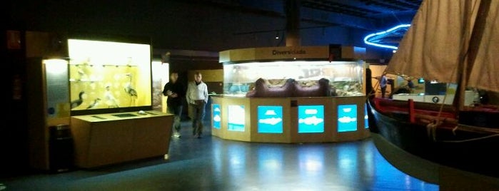 Aquarium Finisterrae is one of Edificios públicos Amón. Local.