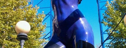 Catwoman's Whip is one of Must-visit rides at Six Flags New England.