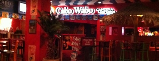 Cabo Wabo is one of Must-visit Nightlife Spots in South Lake Tahoe.