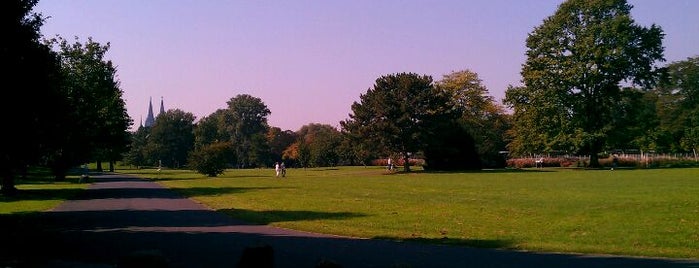 Rheinpark is one of Natur in Köln.