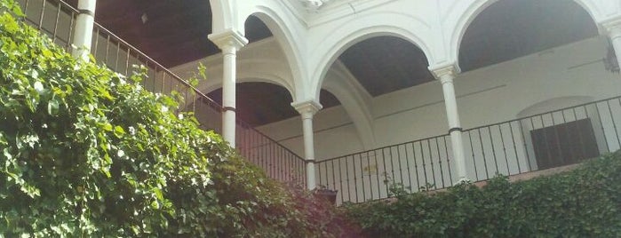 Casa Palacio de los Briones is one of Cosas que visitar en Carmona.