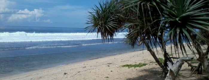 Pantai Sepanjang is one of TEMPIK GUNDUL [Tempat Piknik Gunungkidul].