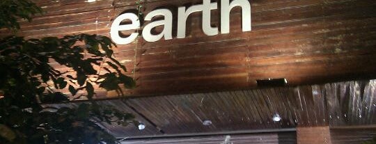Mother Earth is one of Bangalore's Best Spots.