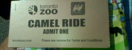 Toronto Zoo is one of Best Children's Entertainment.