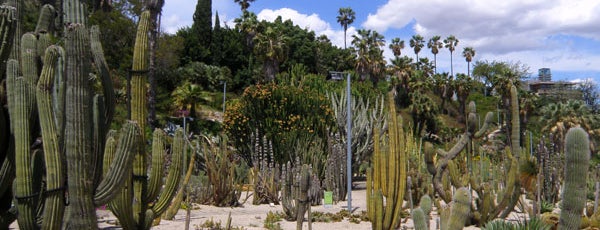 Jardins de Mossèn Costa i Llobera is one of Locais salvos de Fabio.