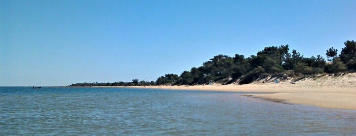 Praia Fluvial Soltróia is one of locais.