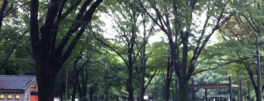 Wadabori Park is one of 東京の公園50.