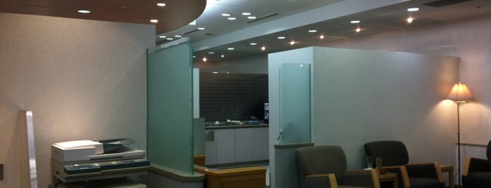 国際線 ANAラウンジ (ANA Lounge - International Terminal) is one of Airline lounges.