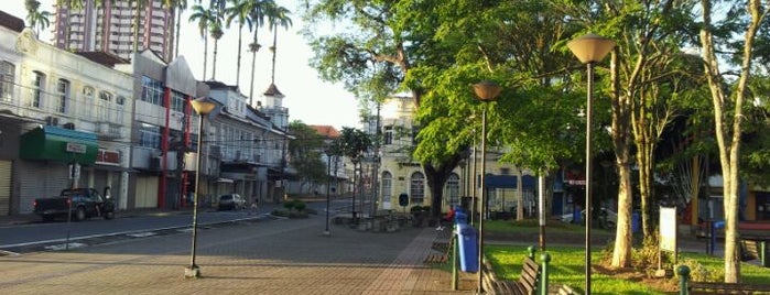 Praça Nereu Ramos is one of Tatiana Pimenta 님이 좋아한 장소.