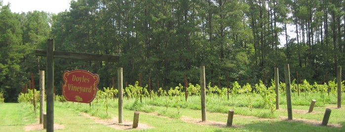 Vineyards at Southpoint is one of Heart of NC Wine Trail.