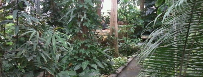 United States Botanic Garden is one of Guide to Washington's best spots.