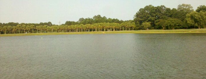 James Island County Park Dog Park is one of Charleston Lowcountry Dog Runs.