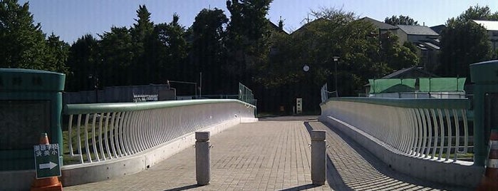 武蔵野橋 is one of 和田堀公園 橋巡り.