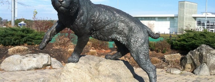 The UNH Wildcat is one of UNH Landmarks.