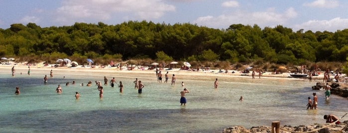 Son Saura is one of Islas Baleares: Menorca.