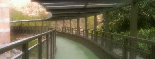 Sunway Canopy Walk is one of Lugares favoritos de Teresa.