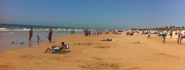 Playa de Costa Ballena is one of Playas de Andalucía.