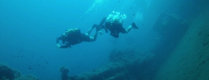 "Zenobia" Ship Wreck is one of Middle East.